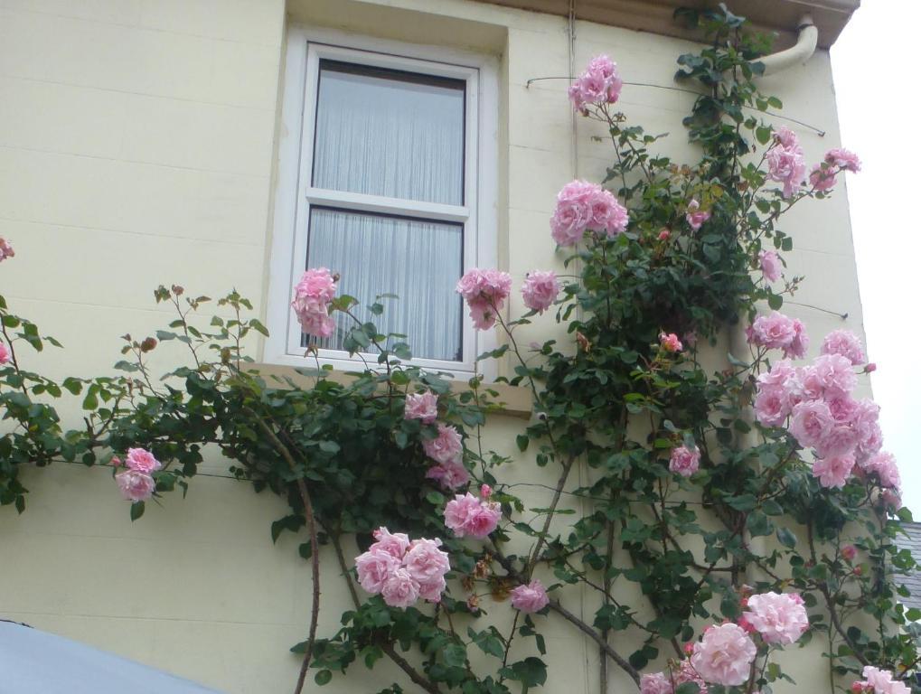 Bayview Guest House Saint Helier Jersey Dış mekan fotoğraf